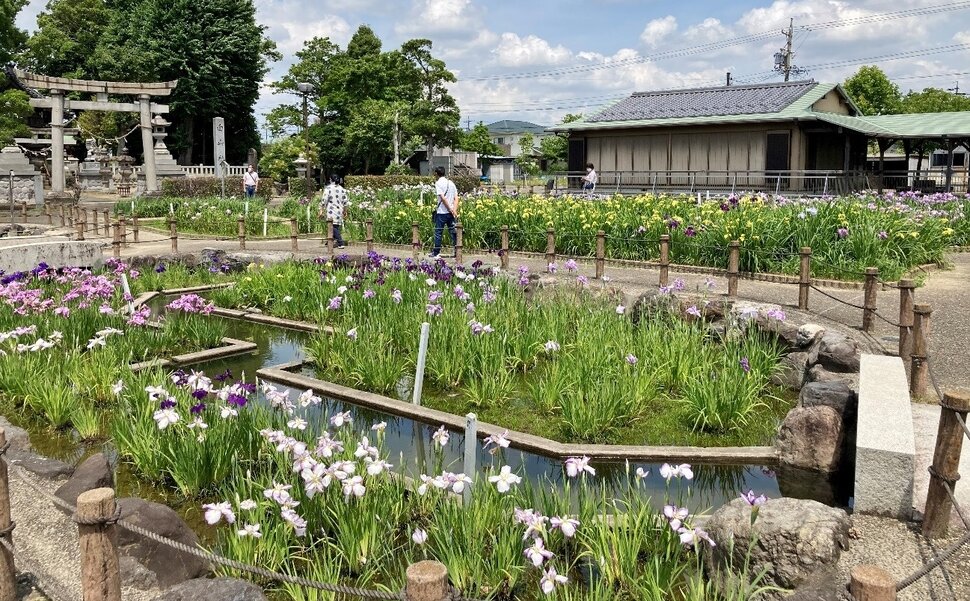 ホームズ】アイリス今伊勢(一宮市)の賃貸情報