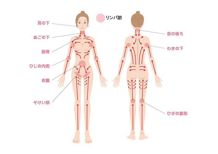 ６部位を効果的に狙う、リンパマッサージのやり方【まとめ】 | 美的.com