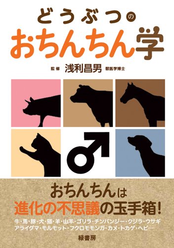 平均的なペニスの大きさを身近なものと比較しまくってみるとこうなる - GIGAZINE