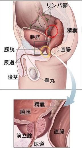 一瞬でビショビショに！女の子が感じる王道の性感帯TOP5│【風俗求人】デリヘルの高収入求人や風俗コラムなど総合情報サイト |  デリ活～マッチングデリヘル～