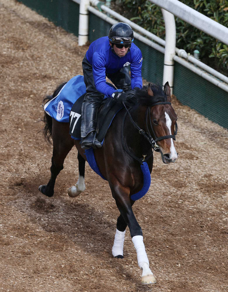 ２歳新馬】アルジャンナの全弟コマンドライン、坂下の反応が一瞬遅れるも３馬身差をつけた脚力評価 - スポーツ報知