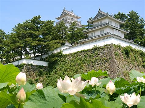 島根｜デリヘルドライバー・風俗送迎求人【メンズバニラ】で高収入バイト