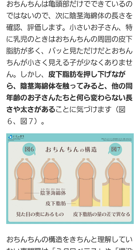 ペニスの大きさ平均は13cm！女性の理想サイズはさらにデカい！？｜薬の通販オンライン