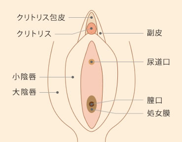 クリトリス包茎】婦人科形成『福岡・博多』美容外科・美容整形なら福岡博多駅前通中央クリニック