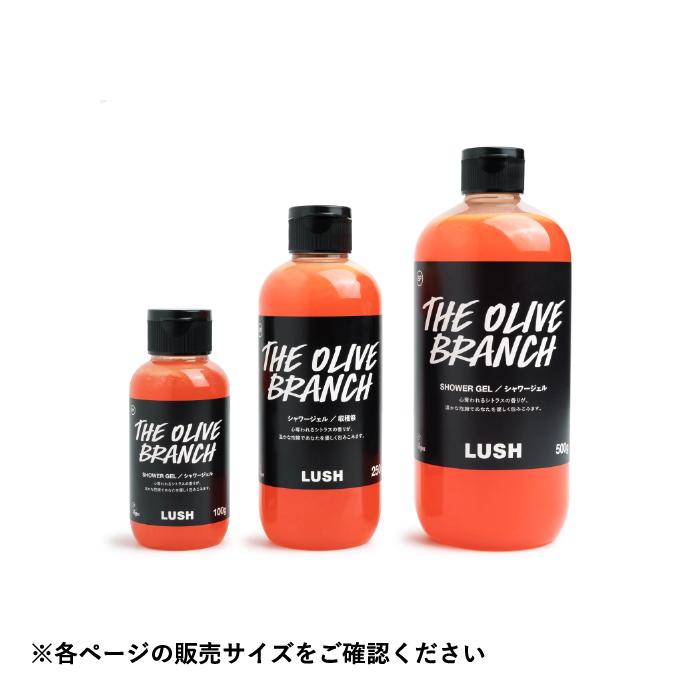 LUSH オールザベスト ギフト