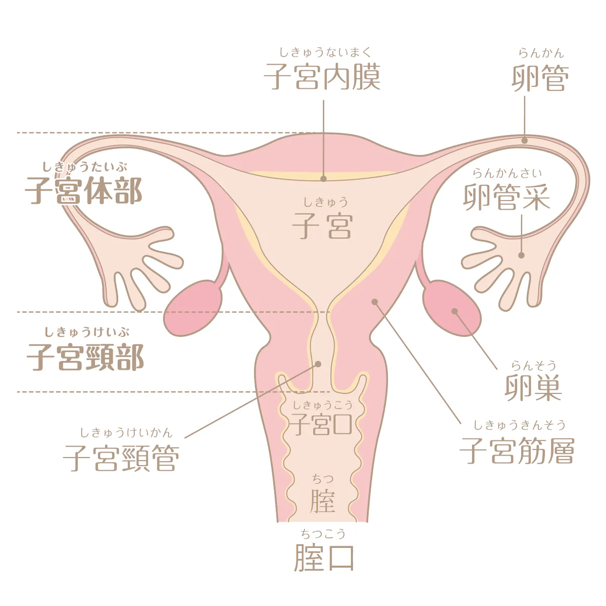 セルフプレジャーやセックス。わたしの性の「気持ちいい」はどこにある？ - She is [シーイズ]