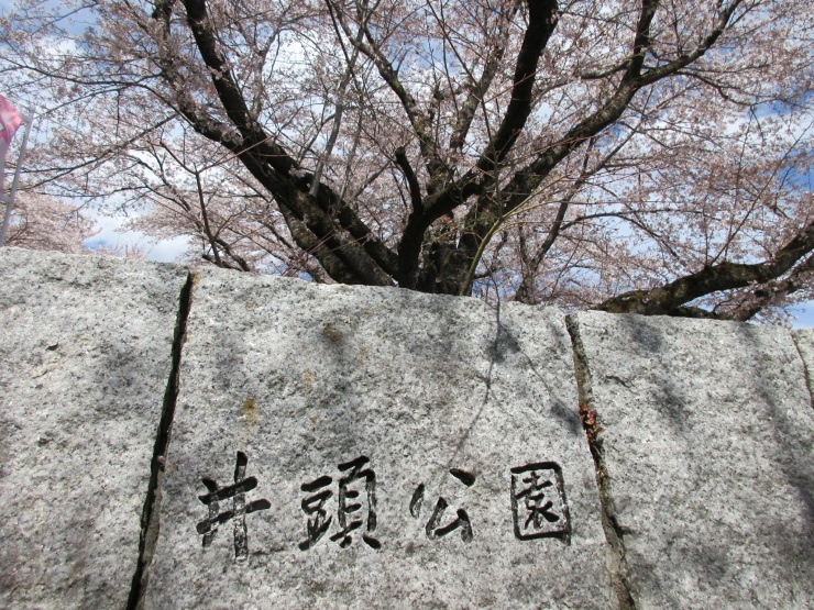 真岡の祭り ～灯ろう流し・木綿踊り～』真岡(栃木県)の旅行記・ブログ by かおニャンさん【フォートラベル】