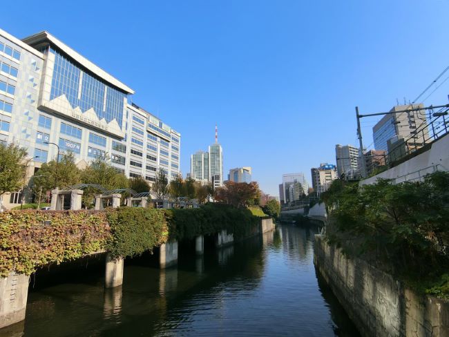 御茶ノ水駅周辺の医院・病院一覧｜東京ドクターズ