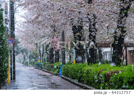 西川口は桜が満開 | こんな写真撮ってます！売ってます！