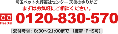 天使のゆりかご～ほら、赤ちゃんが泣きやんだ！ 大きかっ