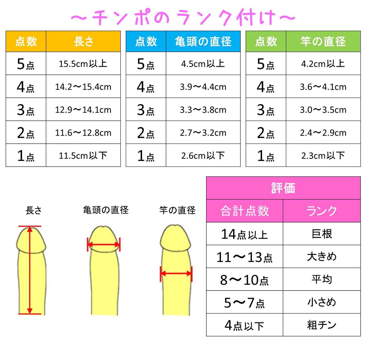 巨根の基準は何センチか