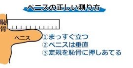 ペニはか～る|アダルトグッズや大人のおもちゃ、玩具の通販ショップのNLS