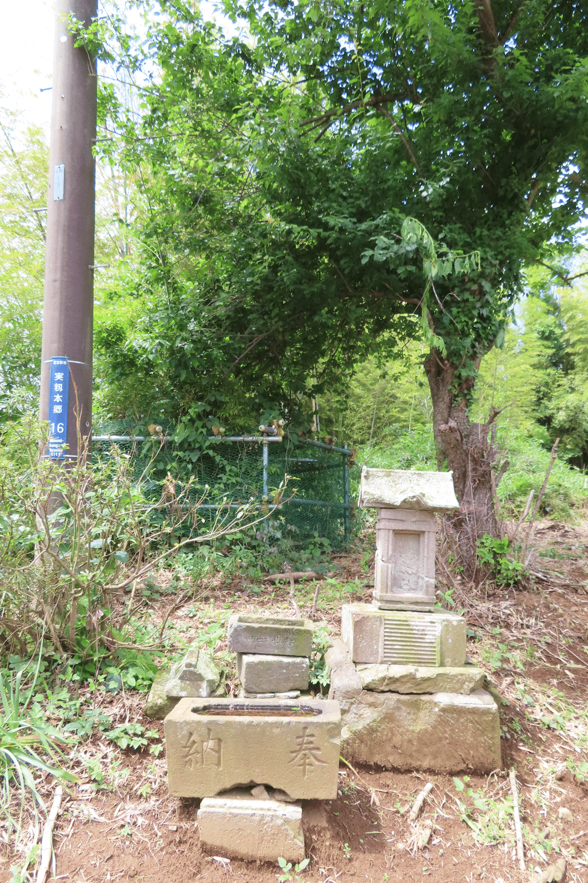 千葉県習志野市実籾散歩：実籾城址〜屋敷近隣公園〜天津神社｜ぷく助雑記🍀