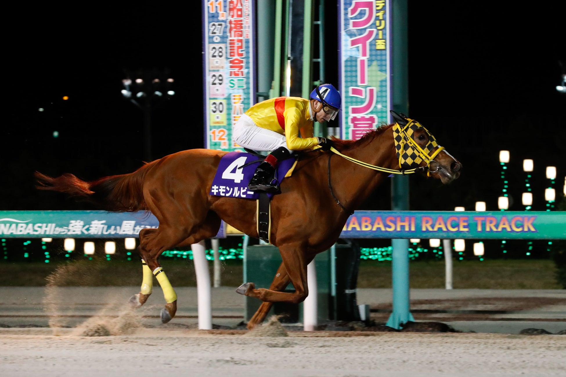 楽天競馬LIVE：馬券対決（第66回クイーン賞）:おトク情報:楽天競馬