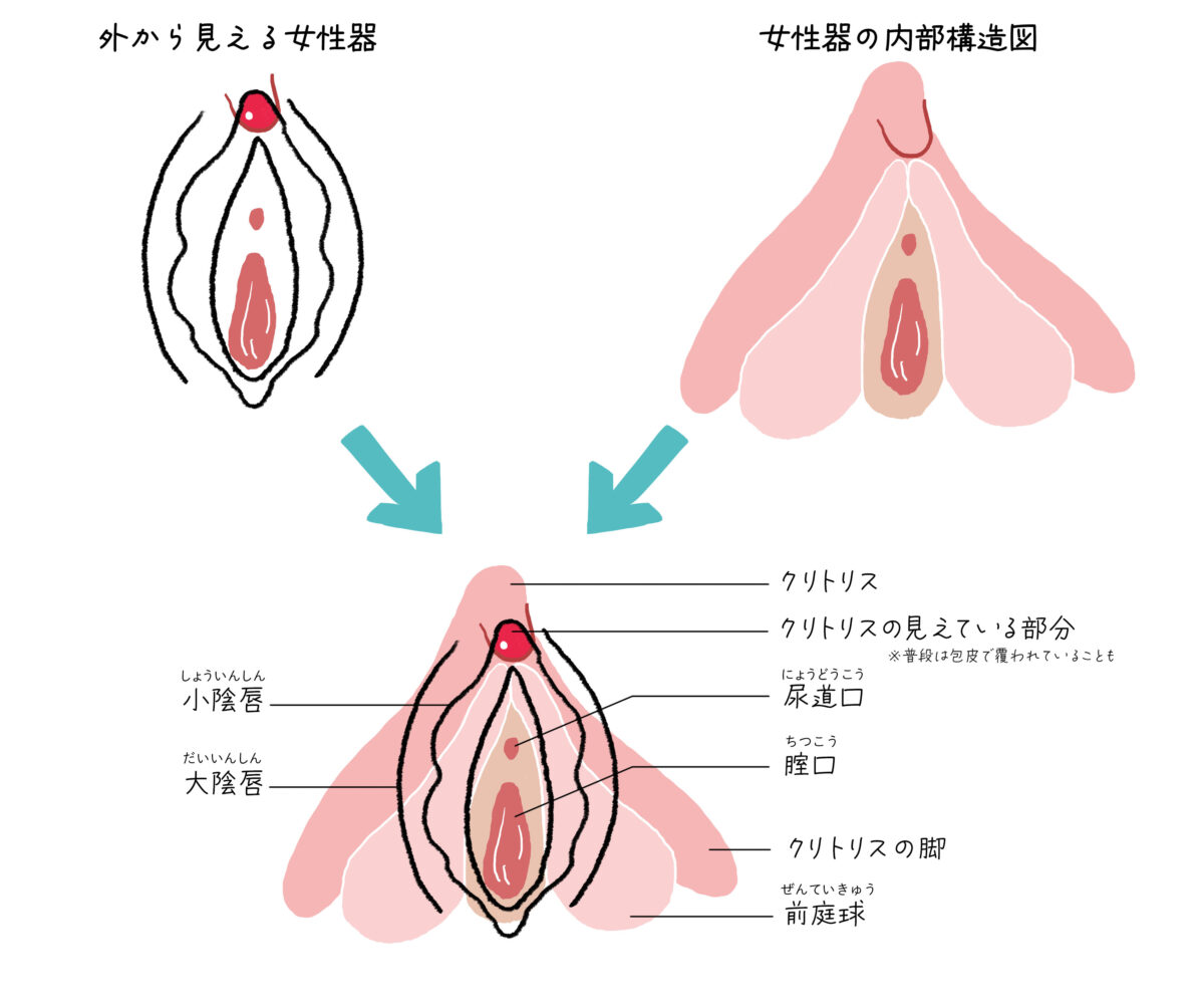 オナニーで「イク」が分かる！女性のためのオナニーレシピを伝授！ | Trip-Partner[トリップパートナー]