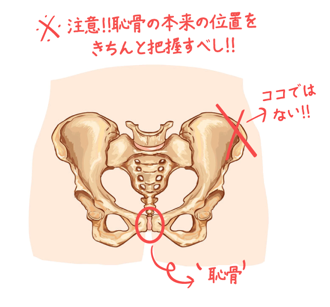 ペニスサイズを一発測定！トイレットペーパーチャレンジ！