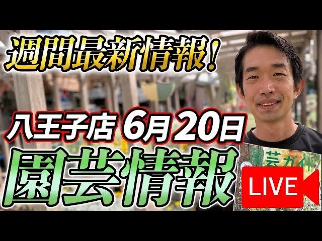 那須 ジュリアン | 【不登校からの大逆転〜2年間のサポートを終えて〜】