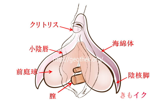 手マンの正しいやり方とは？女性が気持ちいいと感じるコツやテクニックを徹底解説｜風じゃマガジン