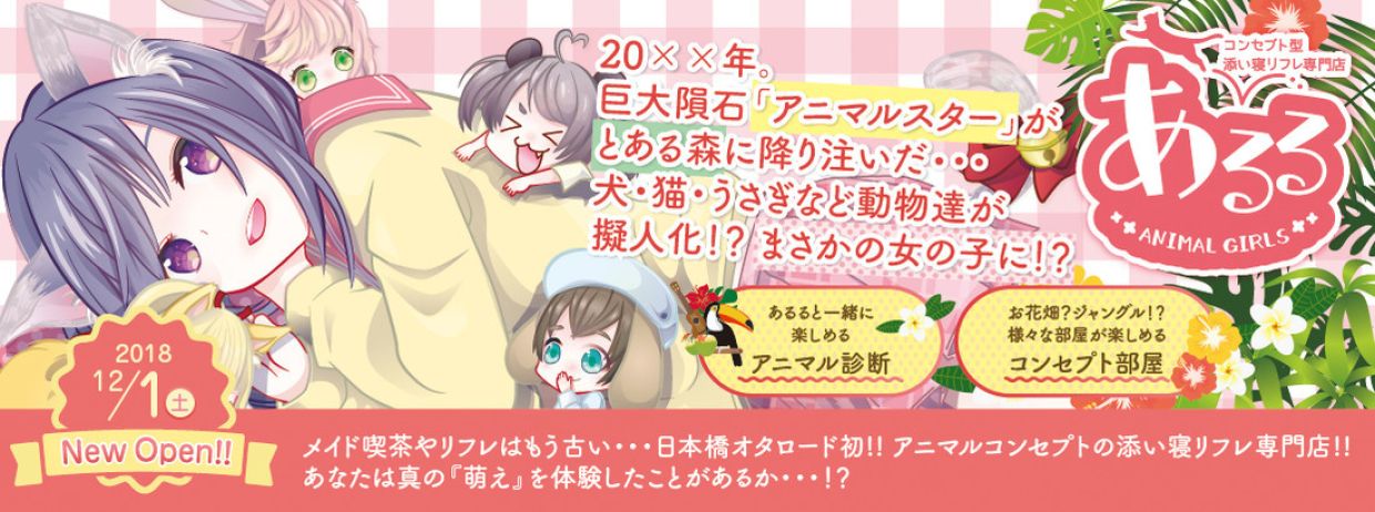 11月6日（水）日本橋添い寝リフレ『あるる』出現情報 (2024/11/06)｜ブログ情報 -