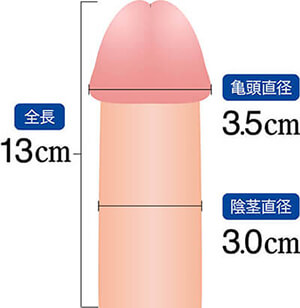 ペニスのサイズはどれくらい？TENGA社内で測ってみた - TENGAヘルスケア