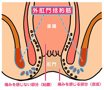 駿河屋 -【アダルト】<中古>お尻コキ2 -女子○生のお尻でコキコキしたい!!-（ＡＶ）