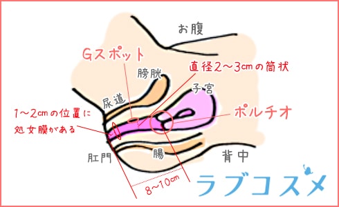 女性が気持ちいいと感じる上手な手マンのやり方やコツを徹底解説！｜駅ちか！風俗雑記帳