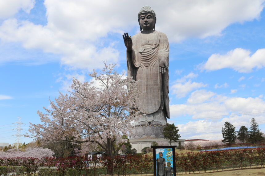 牛久市の風俗 おすすめ店一覧｜口コミ風俗情報局