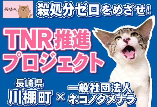 山下清〜明日、晴れたら歩き出そう、風鳴る方へ〜｜ふでねこ