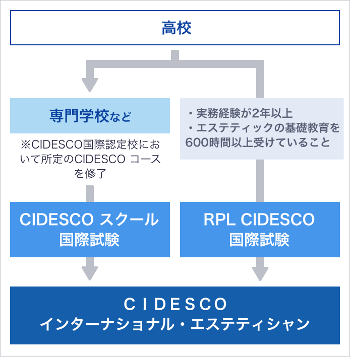 自宅で短期間・安い受講料で夢が叶う！最短ルートでエス | スキルアップ