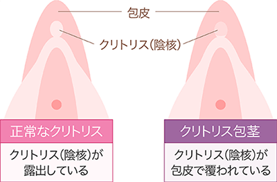 女性なら知っておきたい！ クリトリスの基礎知識