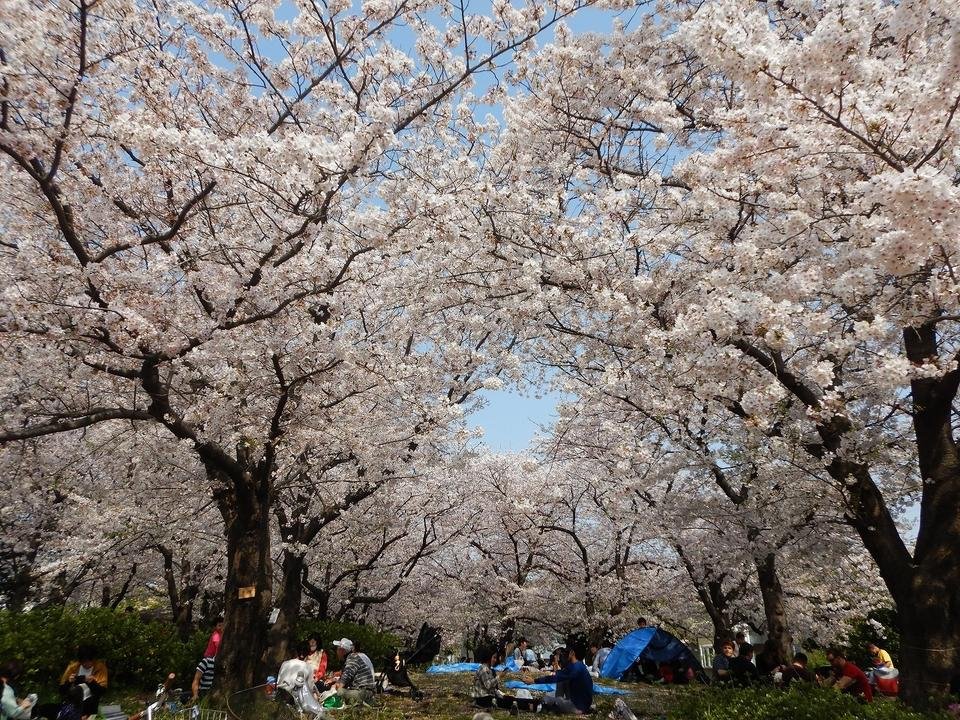 神戶海洋博物館及川崎世界｜神戶觀光優速通票免費景點- 甘單共