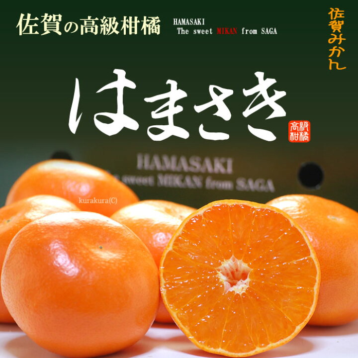 はまさき（品種：麗紅）』佐賀県産 柑橘 秀 約2.5kg（12〜18玉）化粧箱 風袋込