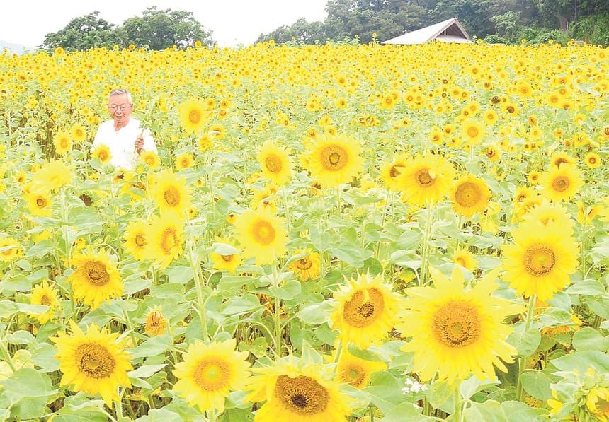 浜田市の風俗嬢ランキング｜駅ちか！