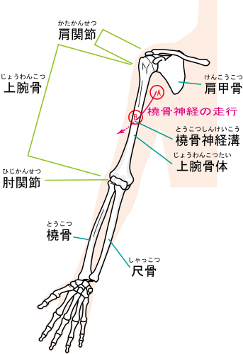 手枷結び | ロープの結び方