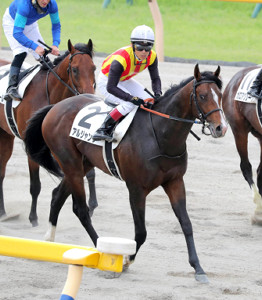 ザダル念願の初重賞制覇・エプソムカップ（GⅢ） - Moment日刊ゲンダイ