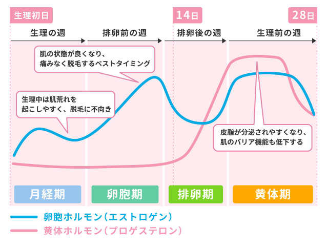 セックスの時に濡れないのは体質？ 5つの理由と解決法｜「マイナビウーマン」