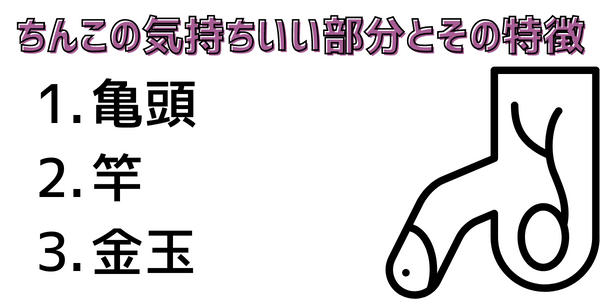 お尻に指入れてちんこしごくとお尻に気持ちい場所があるんですけど、そこが前立腺ですかね | しらいし＠アネロスと前立腺 