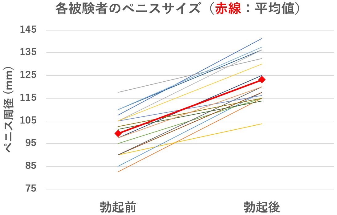 ペニスサイズの測定