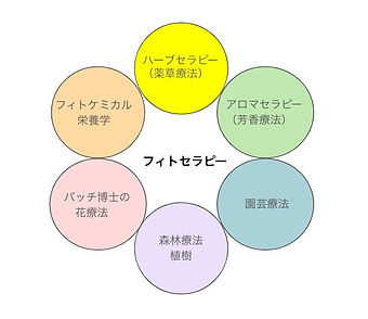 セラピーは「科学」ですか？ | 日本ファミリービジネスアドバイザー協会（FBAA）