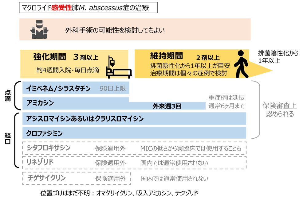 セシルマクビー 感性の方程式 | 高井 尚之