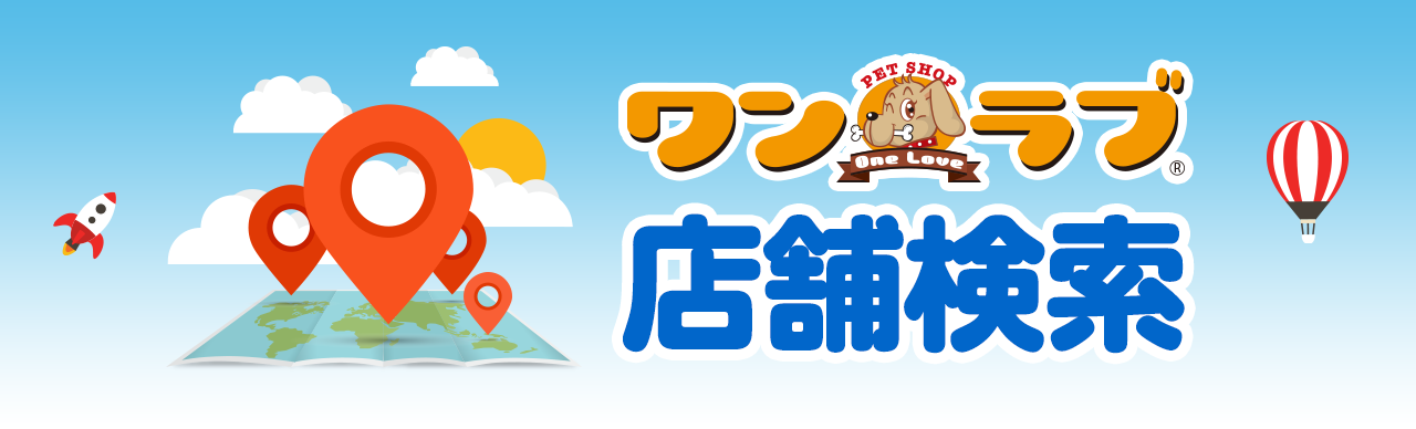 山口県宇部市 きわなみ｜有料老人ホーム｜介護｜ケアマネ｜デイサービス｜訪問看護｜初任者研修｜きわなみケアファミリー