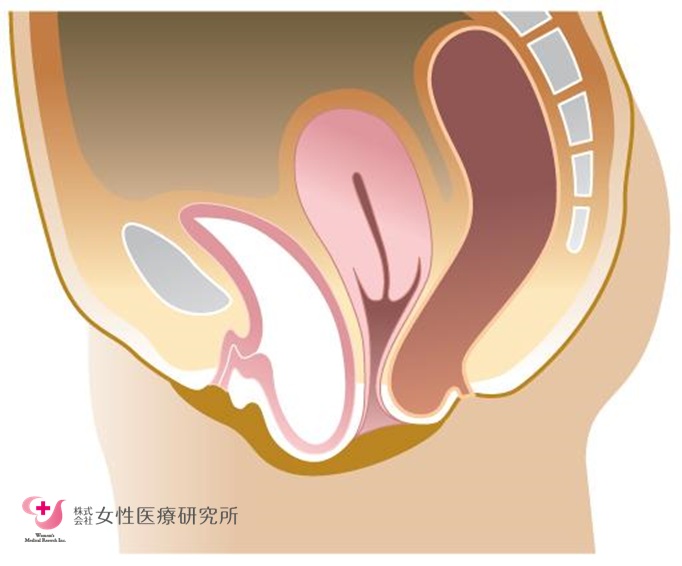 R-18] #28 私は元カノにヤキモチ！『本番編・ふたりで初体験しよ？膣内おしっこ大量中出し♡』