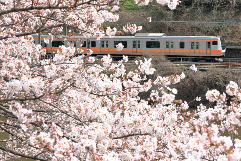 川口市 仲町 (西川口駅) 6階 3LDK