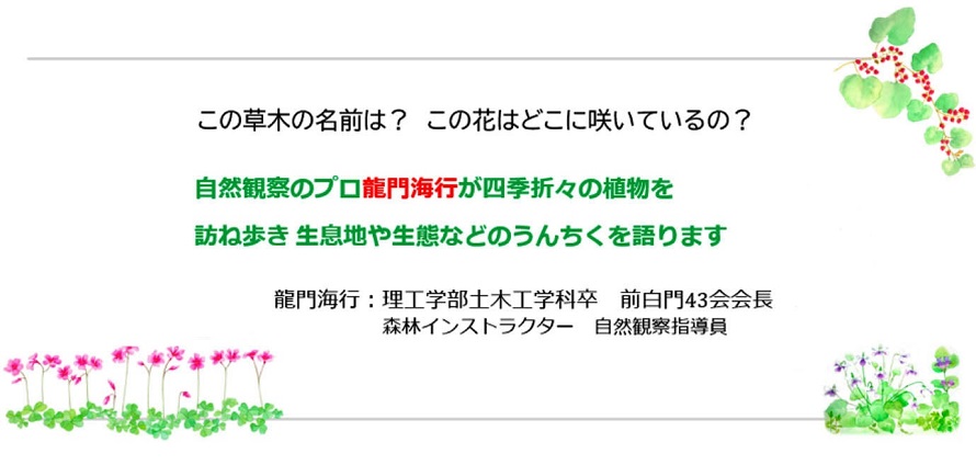 憩い「喫茶室 四季の植物」｜中央大学白門43会