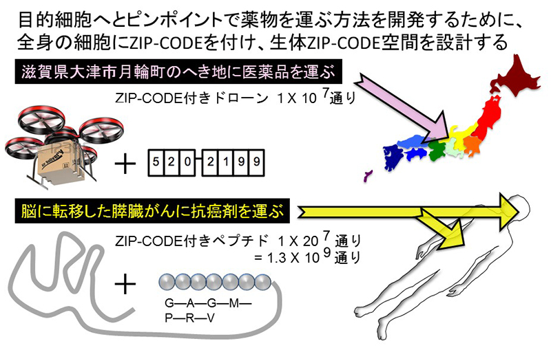 社章 付属品｜ichikawa-sk