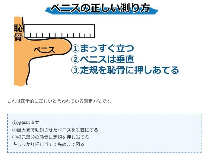 泌尿器専門医が解説】異物を入れずにカリ高ペニスを作る唯一の方法