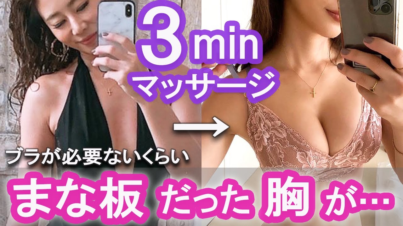 お椀型の理想的な乳房：04【おっぱい図鑑】