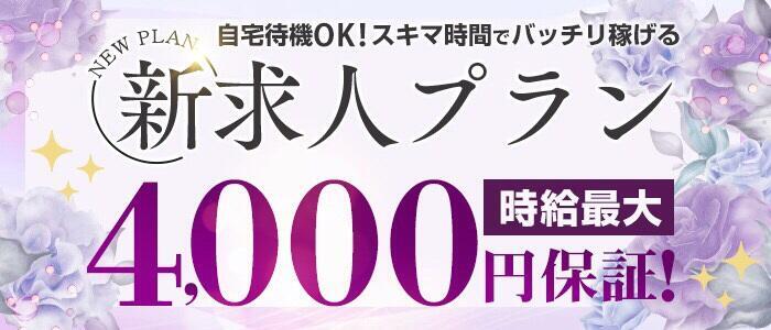 神奈川横須賀ちゃんこ｜横須賀 | 風俗求人『Qプリ』