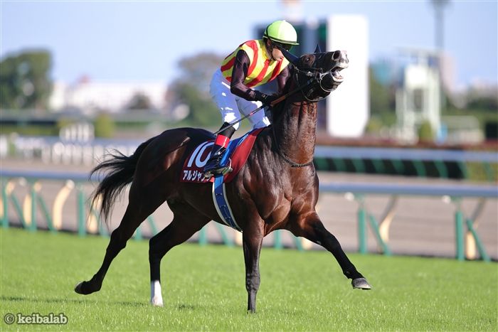 ディープインパクト産駒アルジャンナ、前評判通りの大物ぶりで新馬戦を快勝 | 競馬のある週末