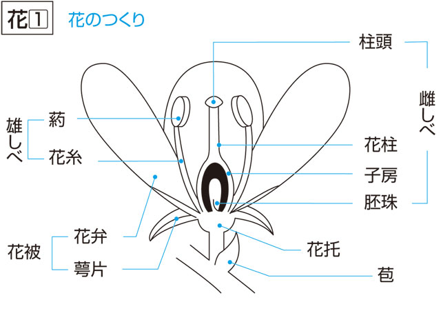 あふれ返る(あふれかえる)」の意味や使い方 わかりやすく解説 Weblio辞書